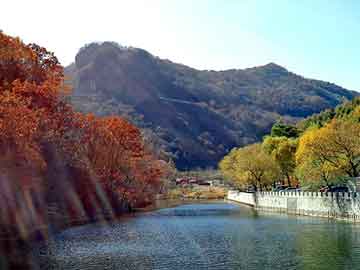 正版澳门天天开彩大全，柴油市场价